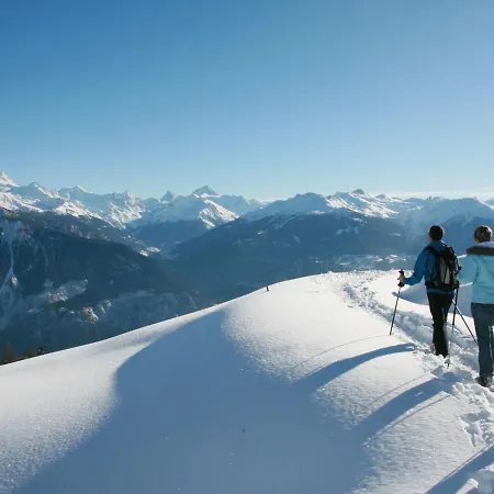 Διαμέρισμα Terrasse Des Alpes 708 By Interhome Vermala